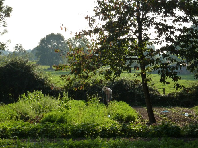Souvenir estival pour supporter la fraicheur.