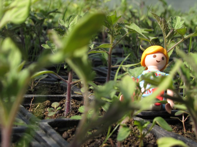 Elle aimait le regarder faire.