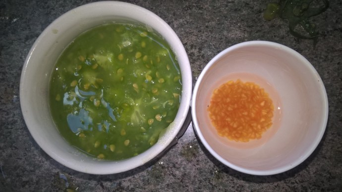 WP_20180801_12_49_03_Pro