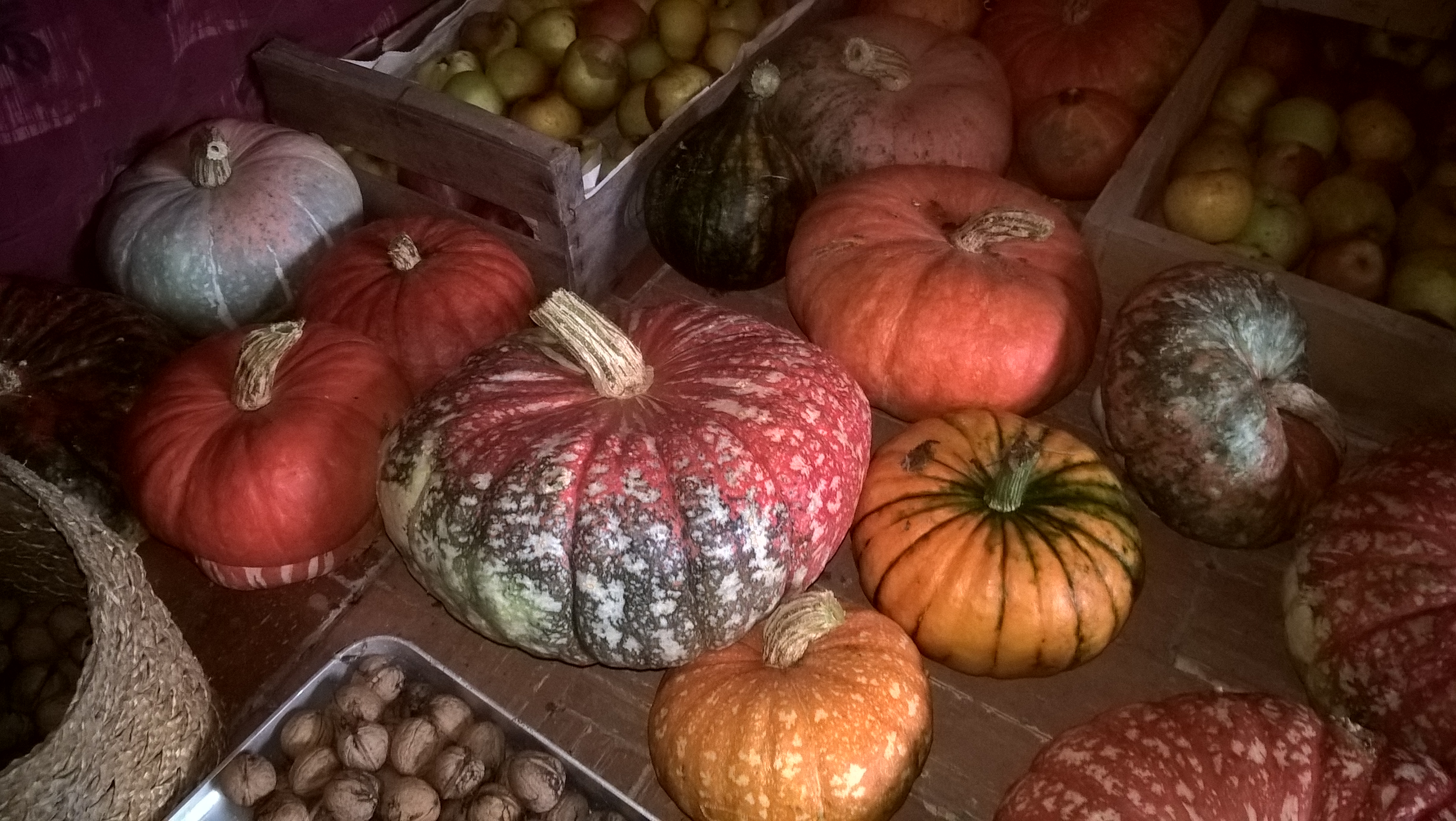 WP_20181003_11_22_11_Pro